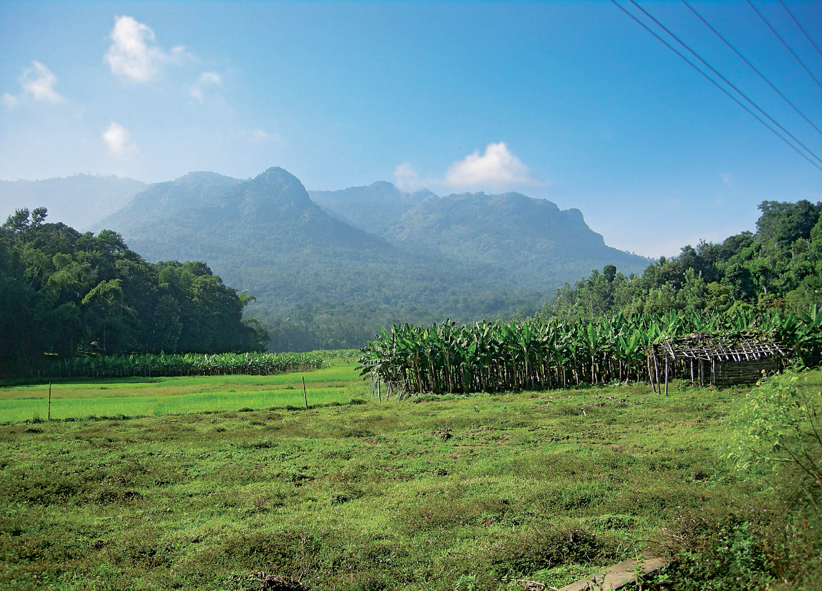 Changing Landscapes of Disasters in India